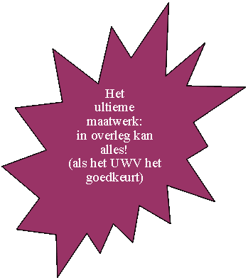 Explosie: 14 punten: Het 
ultieme maatwerk:
in overleg kan alles!
(als het UWV het goedkeurt)