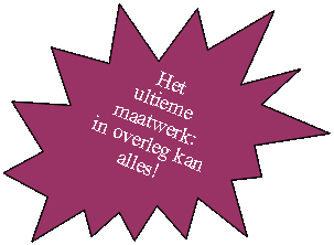 Explosie: 14 punten: Het 
ultieme maatwerk:
in overleg kan alles!